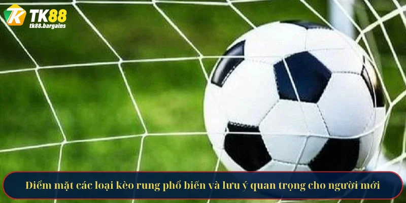 Kèo Rung Là Gì - Bí Kíp Chinh Phục Kèo Cược Từ Chuyên Gia 4 Điểm mặt các loại kèo rung phổ biến và lưu ý quan trọng cho người mới