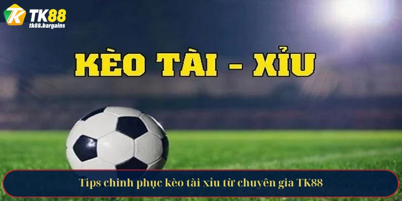 Tips chinh phục kèo tài xỉu từ chuyên gia TK88