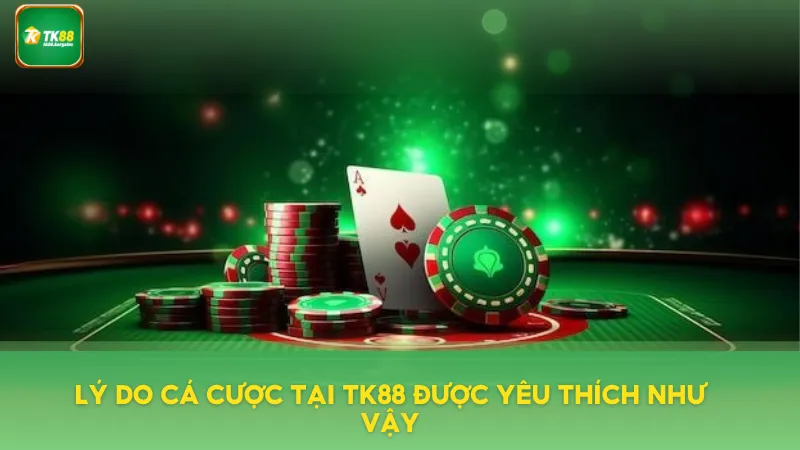 Lý do cá cược tại TK88 được yêu thích như vậy