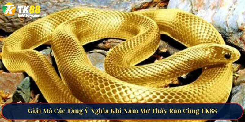 Giải Mã Các Tầng Ý Nghĩa Khi Nằm Mơ Thấy Rắn Cùng TK88 9 Giải Mã Các Tầng Ý Nghĩa Khi Nằm Mơ Thấy Rắn Cùng TK88