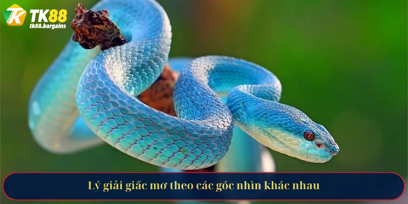 Giải Mã Các Tầng Ý Nghĩa Khi Nằm Mơ Thấy Rắn Cùng TK88 4 Lý giải giấc mơ theo các góc nhìn khác nhau