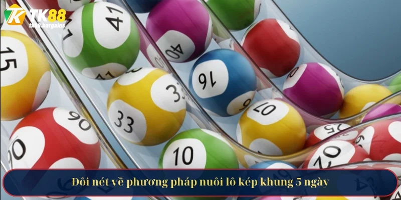 Nuôi Lô Kép Khung 5 Ngày Bất Bại Từ Chuyên Gia TK88 2 Đôi nét về phương pháp nuôi lô kép khung 5 ngày