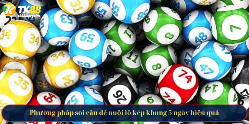 Nuôi Lô Kép Khung 5 Ngày Bất Bại Từ Chuyên Gia TK88 3 Phương pháp soi cầu để nuôi lô kép khung 5 ngày hiệu quả